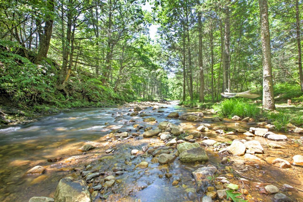 Clearwater Cabin On 10 Acres With Trout Stream! Monterey Εξωτερικό φωτογραφία